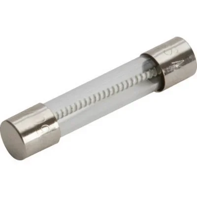 2 Amp 250V Time Delay Fuse Pk/5