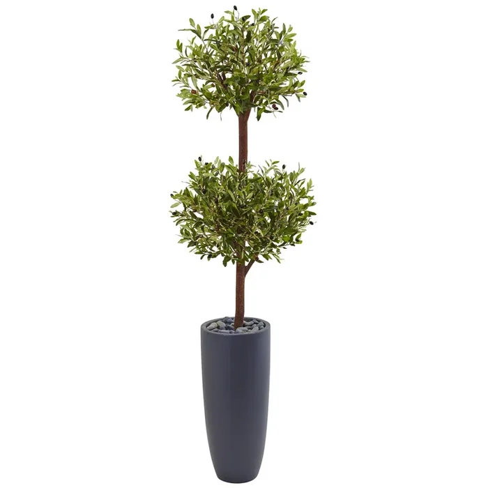 6′ Olive Double Tree in Gray Cylinder Planter