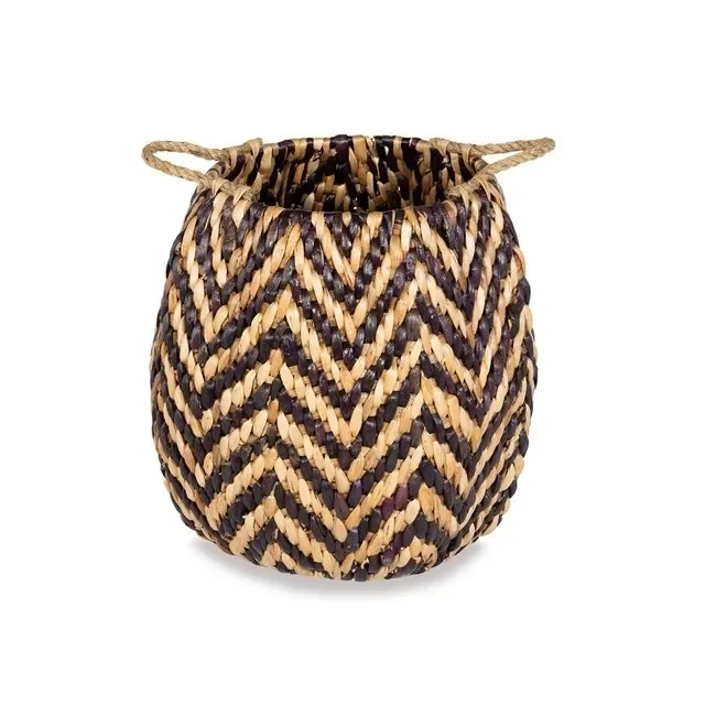 Alfa Basket