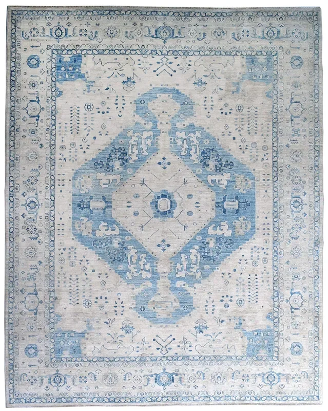 Bakshaish Handwoven Transitional Rug, J64973