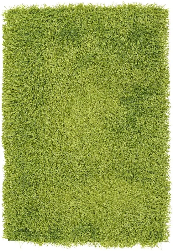 Chandra Duke duk20900 Green Rugs