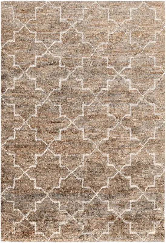 Chandra Nesco Nes32700 Light Brown Rugs