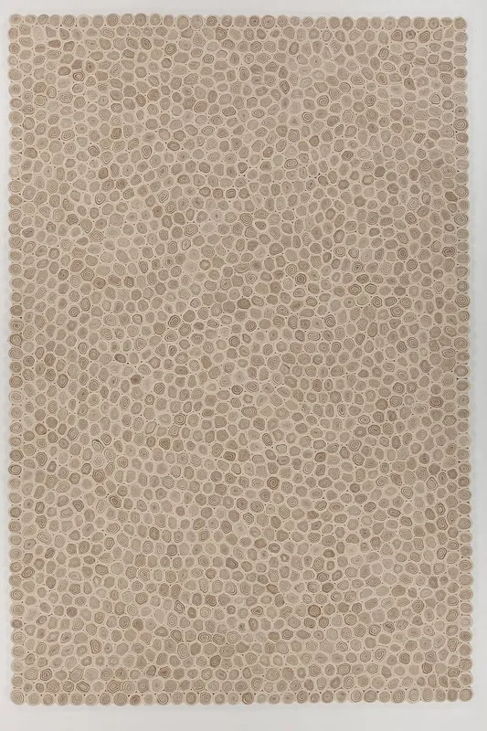 Chandra Patagonia Pat-46801 White / Brown / Beige Rugs