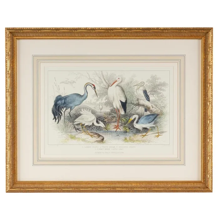 Hand Watercolor Engraving in Gold Frame