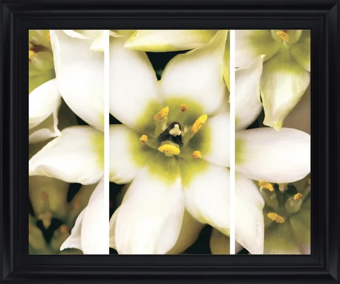 Ivory Petal Radiance – 28″ x 34″ Framed Wall Art