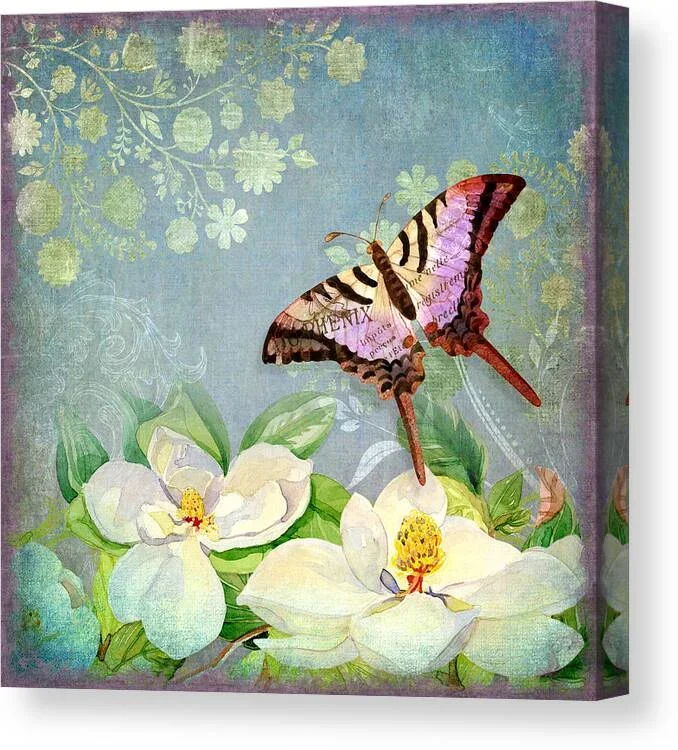 Magnolia Dreams Canvas Print