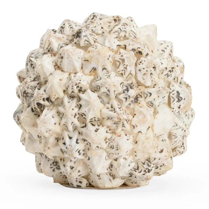 Organic Shell Sphere for Luxe Home Decor