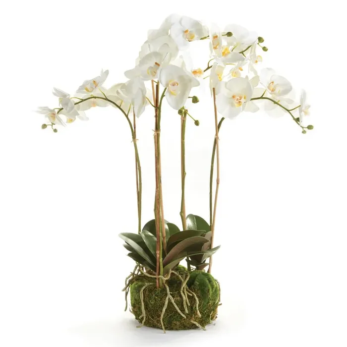 Phalaenopsis White Orchid Bowl Drop-In 25″ Floral Arrangement