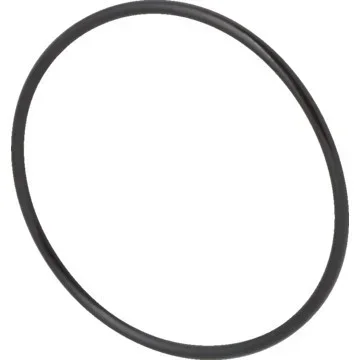 Pool O-Ring, Diffuser