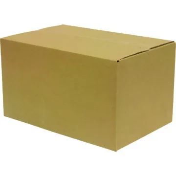 RecycMulti Corru Move Box 18″x12″x10″