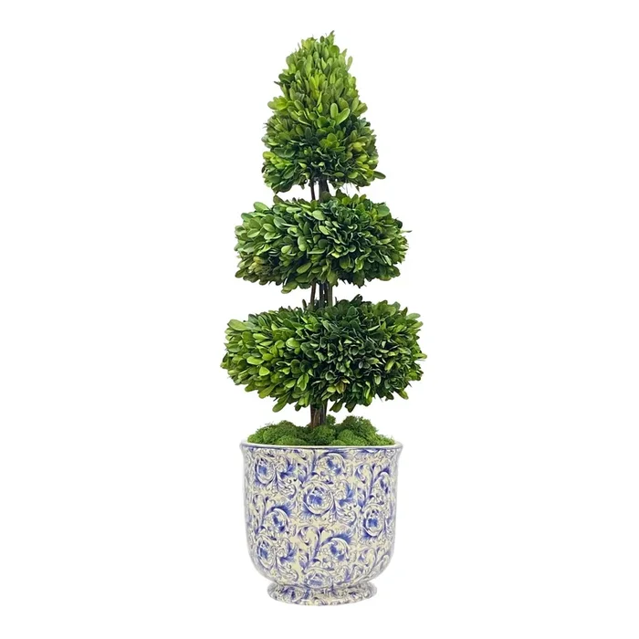 Rodeo Boxwood Artificial Plant In Cache Pot 28”
