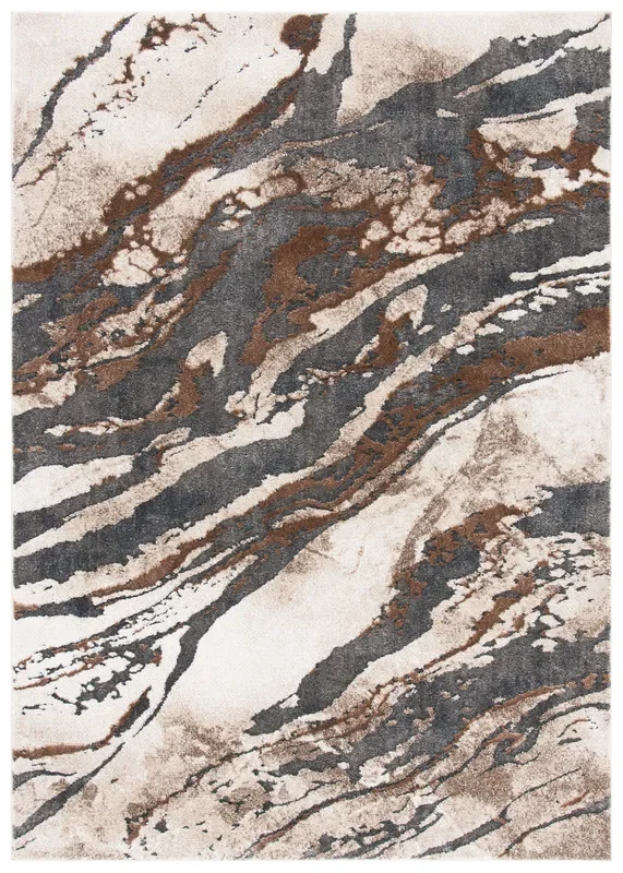 Safavieh Pacific Pfc865F Dark Grey/Beige Rug