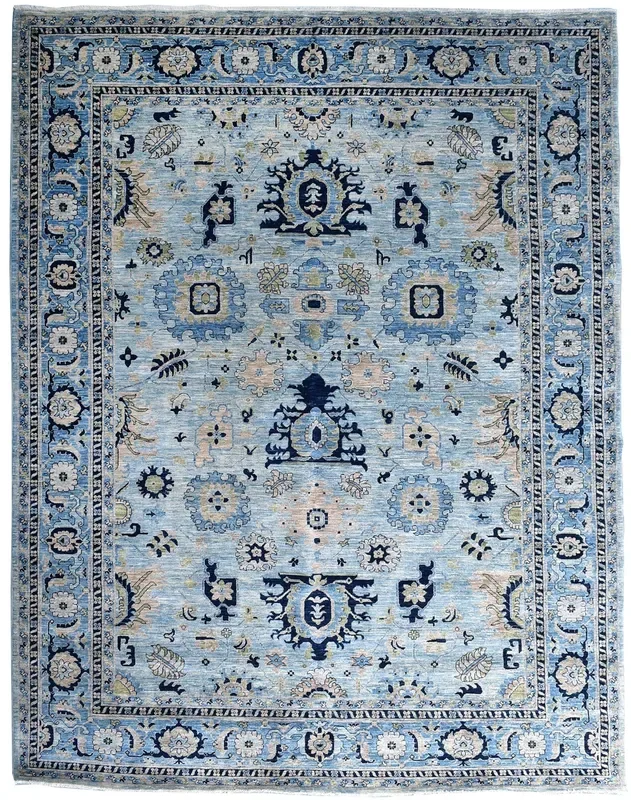 Serapi Handwoven Transitional Rug, J64976