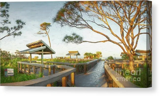 Service Club Park, Venice, Florida, Painterly Canvas Print