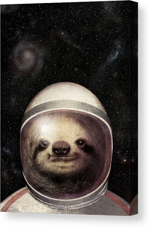 Space Sloth Canvas Print