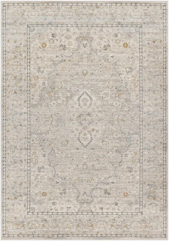 Surya Alpharetta Aph-2303 Light Beige, Cream, Medium Gray, Charcoal, Amber Rug