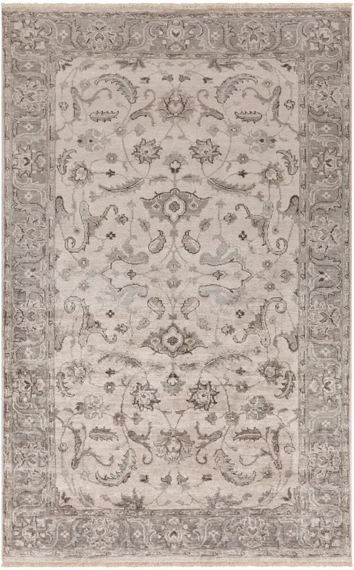 Surya Theodora Tho-3003 Taupe / Light Gray / Taupe Rugs