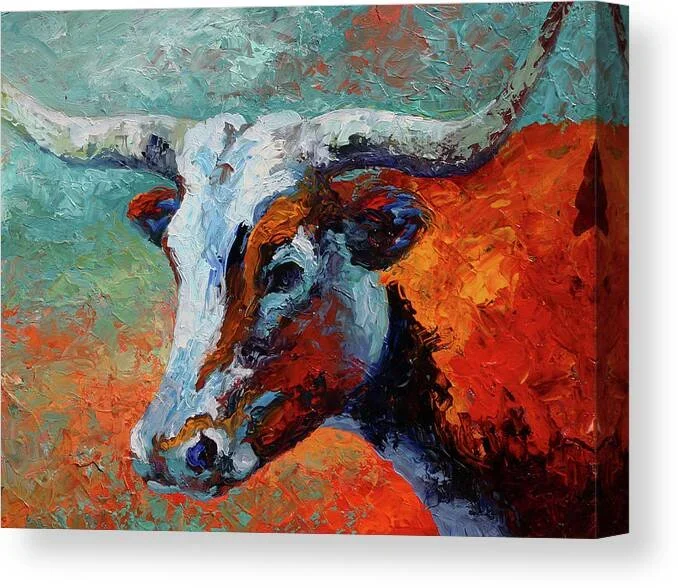 Young Longhorn Canvas Print